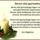 Advent_elso_gyertyalangja-001_2110421_1865_t