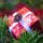 Ajandek_2110371_5738_t
