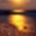Alkonysugar_2110231_6642_t