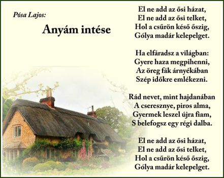 Anyám intése