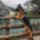 Aranyosi_ervin_van_ki_veled_erez_2110719_7304_t