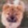 Athos_211470_96982_t