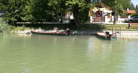 Halászi község belterületén a Mosoni-Duna bal partja, Halászi 2019. július 24.-én 14