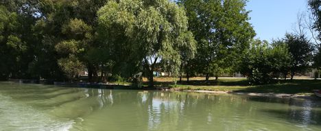 Halászi község belterületén a Mosoni-Duna bal partja, Halászi 2019. július 24.-én 17