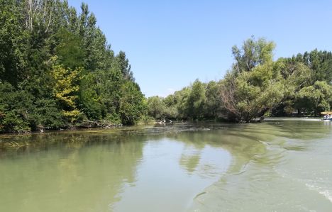 Halászi község belterületén a Mosoni-Duna jobb partja, Halászi 2019. július 24.-én 8
