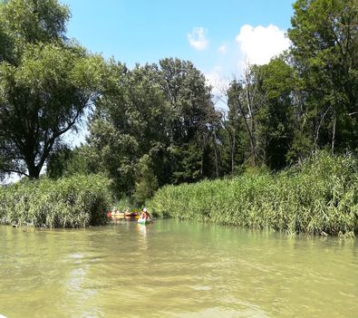 Halátjáró a Mosoni-Duna duzzasztó bal partján, Mosonmagyaróvár 2019. július 24.-én 1