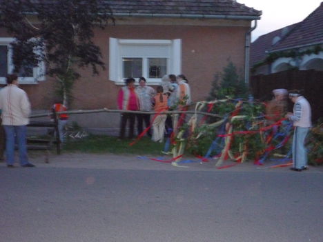 májusfaállítás