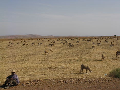 Marokkó 2008 1029