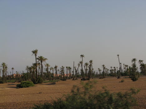 Marokkó 2008 1102