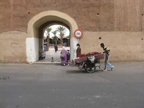 Marokkó 2008 1568
