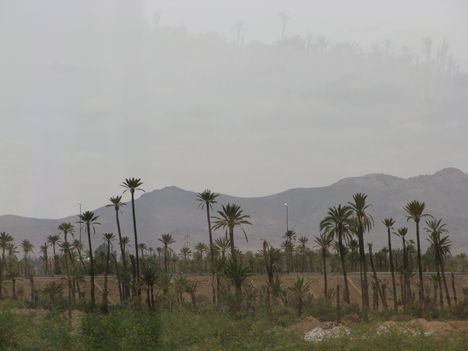 Marokkó 2008 1621