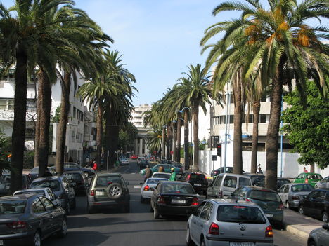 Marokkó 2008 1749