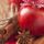 Mosolyhid_2110657_6860_t