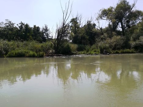 Mosoni-Duna a Felső-Macskasziget feletti szakaszon, Halászi 2019. július 24.-én 2