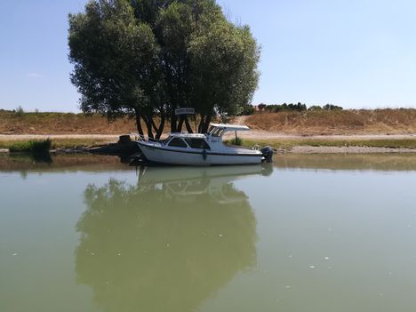 Mosoni-Duna az Úgói partszakaszon, Halászi 2019. július 24.-én 2