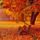 Osz_a_parkban02_2011651_3292_t
