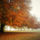 Osz_a_parkban16_2011654_1529_t