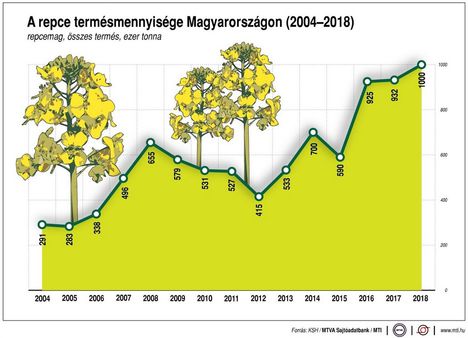 Repce termés