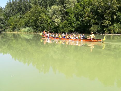 Sárkányhajózás a Mosoni-Dunán, Mosonmagyaróvár 2019. augusztus 24.-én 1