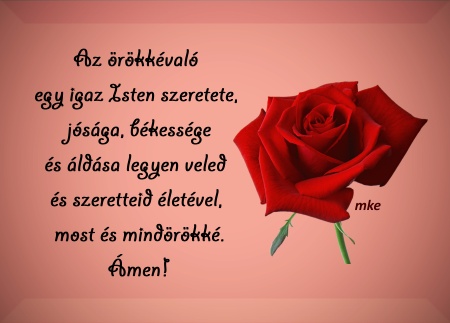Endrődi Sándor: ARANYPOR