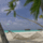 Giphydownsizedlarge_2122397_8355_t