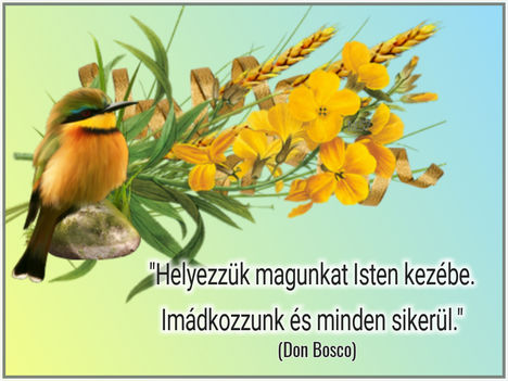 Idézet
