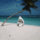 Temptingconstantamericanalligatorsize_restricted_2122393_7775_t