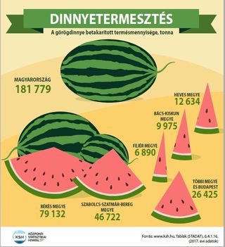 Dinnyetermesztés