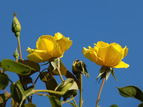 DSCN0025