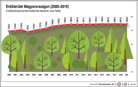 Erdőterület'19