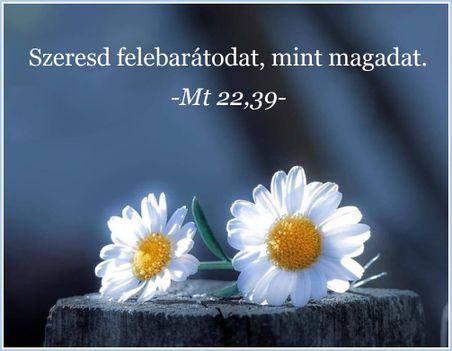 Ige a mai napra 