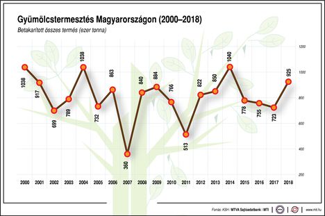 Gyümölcstermesztés