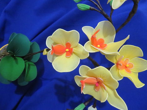 orchidea