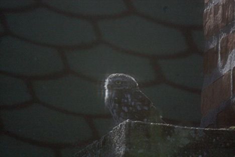 20201010_20