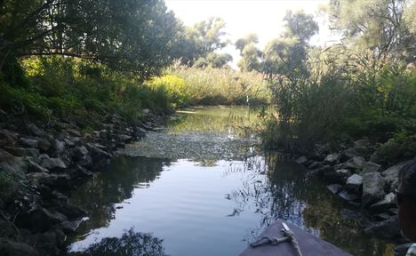 Az Öntési tó a Gatyai-ág felöli hallépcsőjénél, Ásványráró 2020.09.14-én 1