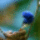 Bekes_szep_napot-163_2129614_5231_t