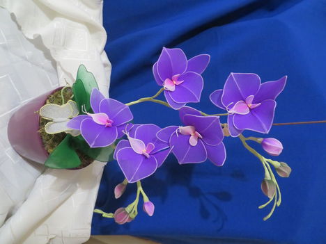 lila orchidea....