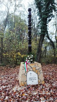 1956-os emlékmű a Mosoni-Duna mentén az  Aranyosszigeti dűlőben, 2016. november 06.-án