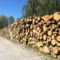A Pálffy erdőben kitermelt fa továbbszállítás előtti deponálása, Kisbodak 2020.04.22.-én