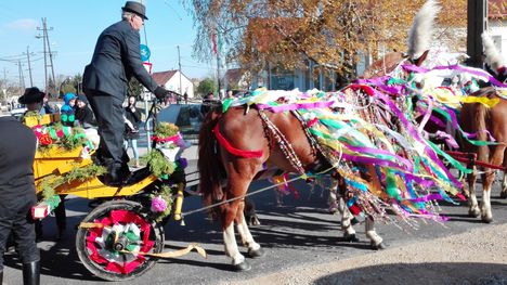 Csingis lovak felvonulása a Halászi Szent Márton búcsú napján, 2016. november 11.-én 1