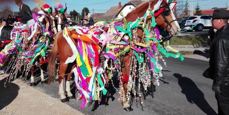 Csingis lovak felvonulása a Halászi Szent Márton búcsú napján, 2016. november 11.-én 1