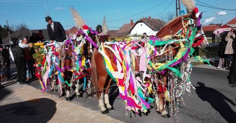 Csingis lovak felvonulása a Halászi Szent Márton búcsú napján, 2016. november 11.-én 2