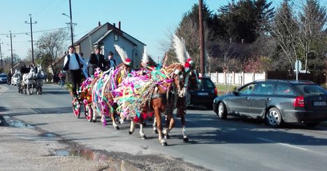Csingis lovak felvonulása a Halászi Szent Márton búcsú napján, 2016. november 11.-én 3