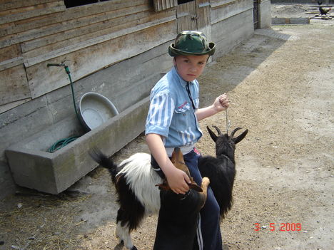 elsőáldozás 10