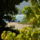 Goudaloupe-003_212580_91299_t