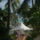 Goudaloupe-005_212582_58359_t