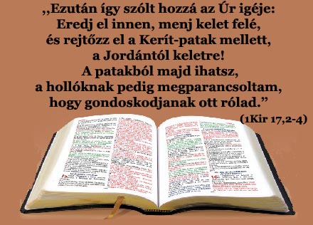 IGE  A  MAI  NAPRA