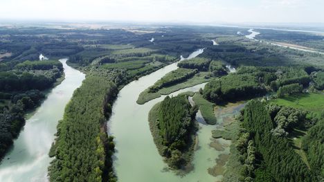 Jakabi és a Barkási Duna-ágak a Cikolaszigeti mellékág-rendszerben, Dunasziget 2019.július 23.-án 1