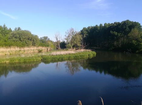 Mosoni-Duna a Szakadóparti szigetnél, Máriakálnok 2020.05.08.-án 4