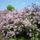 Orgonabokor_212634_97741_t